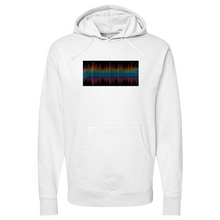 Load image into Gallery viewer, Frequency Spalshes Midweight Hooded Sweatshirt